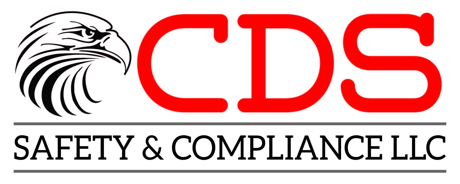 cds safety & compliance llc logo
